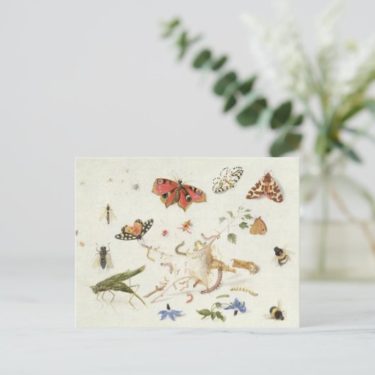 虫勉強 ポストカード (スタンド正面)