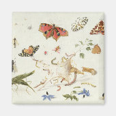 虫勉強 マグネット (正面)