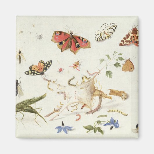 虫勉強 マグネット (正面)