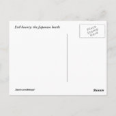 虫日本の虫はがき ポストカード (裏面)