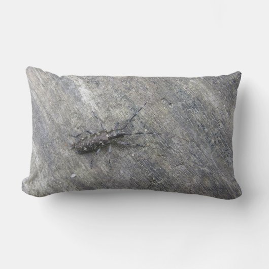虫枕 ランバークッション (正面)
