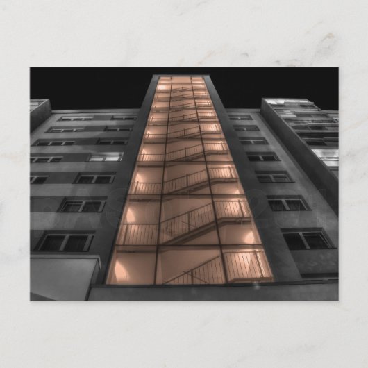 虫目 ポストカード (正面)