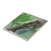 虫祈虫 タイル (側面)