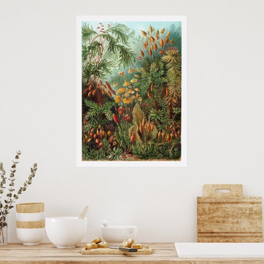 虫苗ポスター ポスター (キッチン)