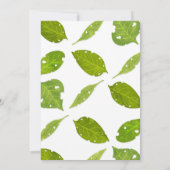 虫虫誕生日招待状 招待状 (裏面)