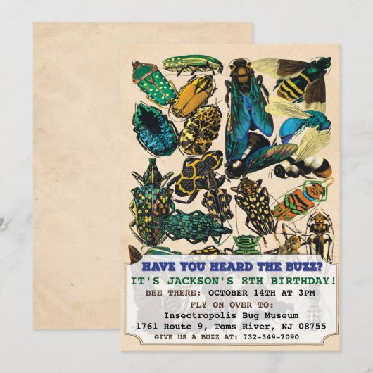虫虫誕生日招待状 招待状 (正面/裏面)
