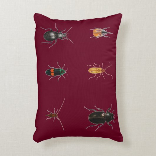 虫2011年 アクセントクッション (正面(垂直))