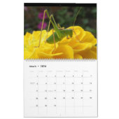 虫2014カレンダー カレンダー (3月 2026)