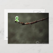 虫 ポストカード (正面/裏面)