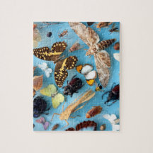 虫、蝶およびガ