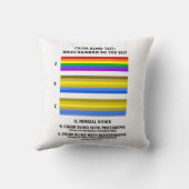 虹が見る色の盲目テストか。 クッション (裏面)