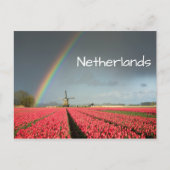虹とチューリップと風車の文字はがき ポストカード (正面)