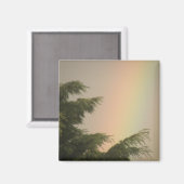 虹と木の磁石 マグネット (正面/裏面)