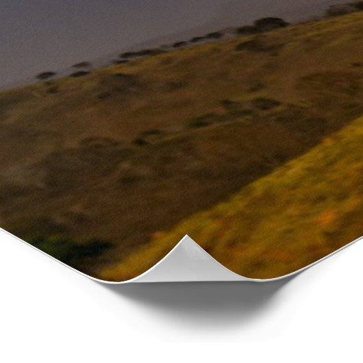 虹と木の風景 ポスター (角)