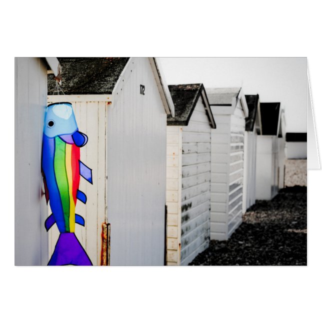 虹によって着色される凧 (正面横)