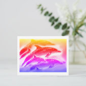 虹のイルカのアート ポストカード (スタンド正面)