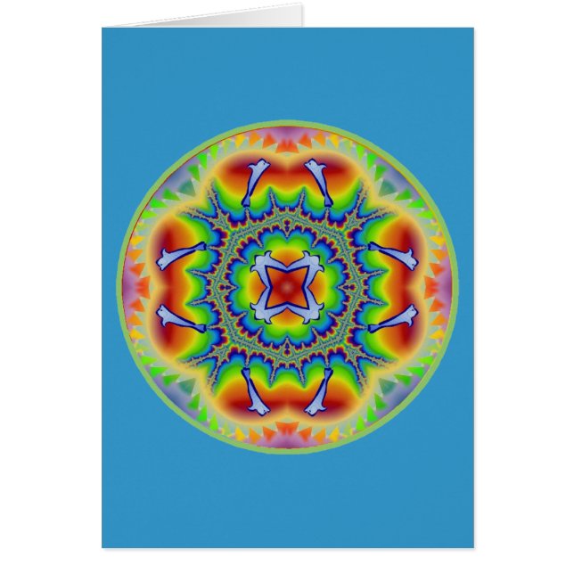 虹のイルカDelite (正面)