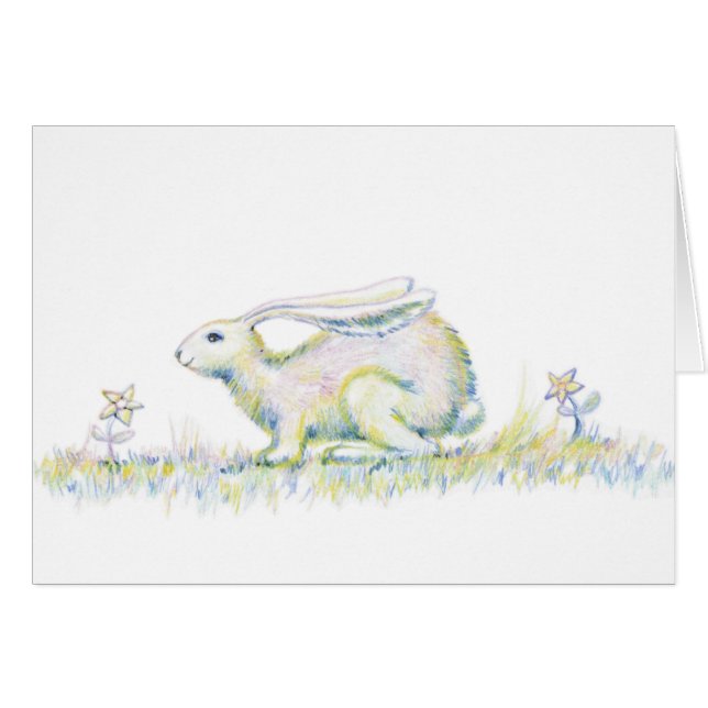 虹のウサギ (正面横)