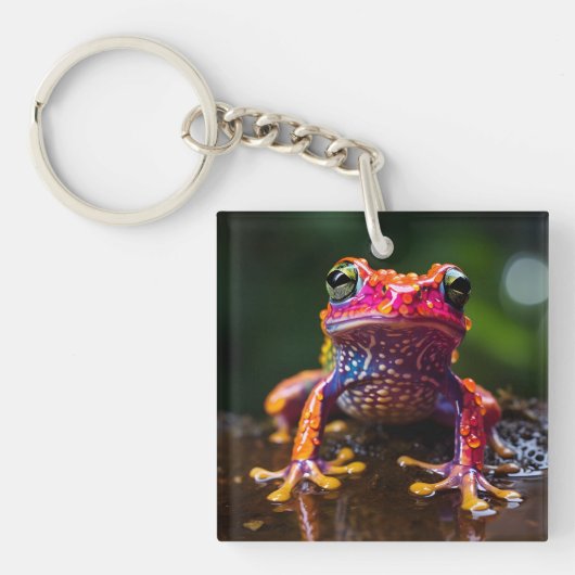 🐸 虹のカエル キーホルダー (正面)