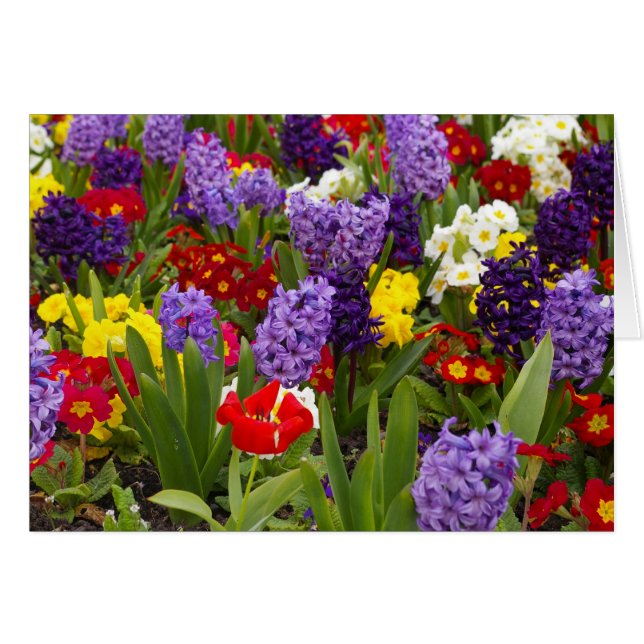 虹のコレクション (正面横)