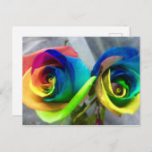 虹のバラの郵便はがき ポストカード (正面/裏面)