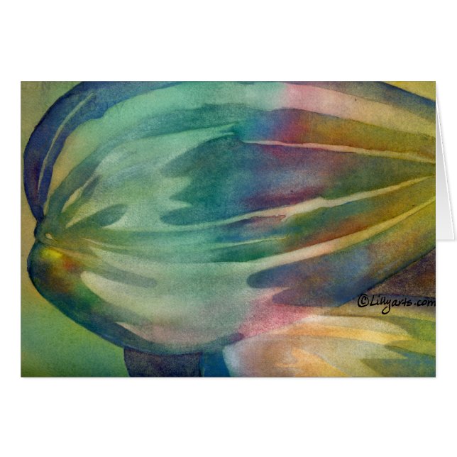 虹のヒマワリの種カード (正面横)