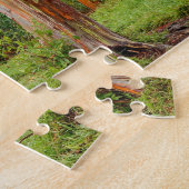 虹のユーカリノキ、マウイ、ハワイ、米国 ジグソーパズル (側面)