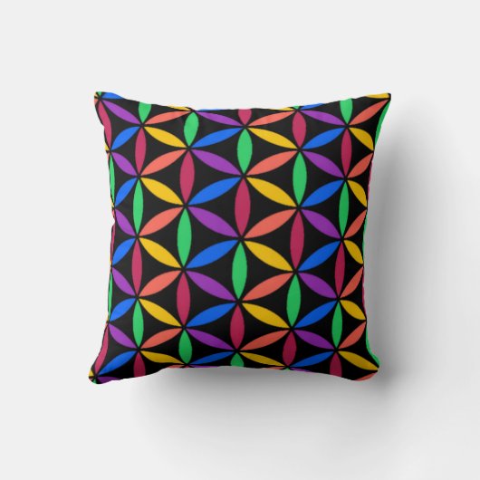 虹の丸 クッション (裏面)