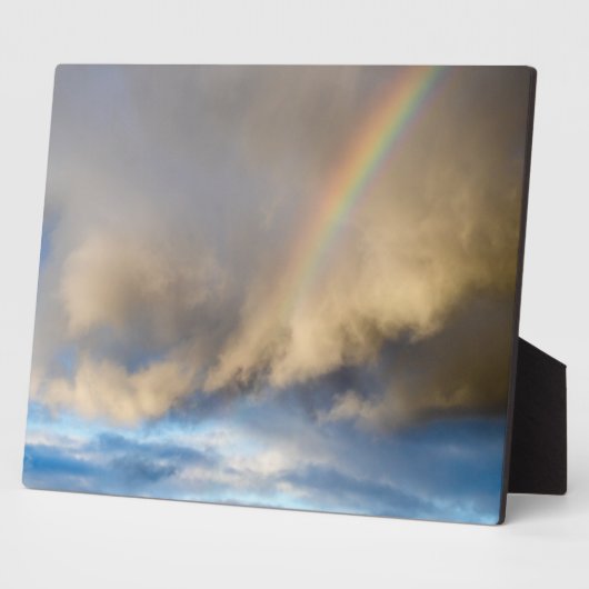 虹の乱 フォトプラーク (側面)