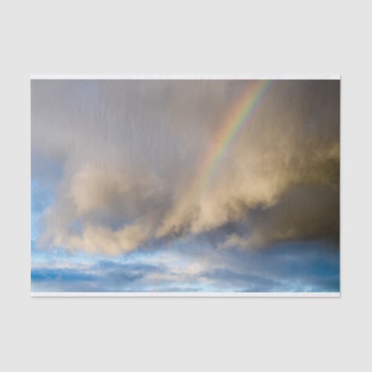 虹の乱 薄葉紙 (正面)