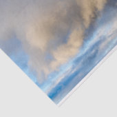 虹の乱 薄葉紙 (詳細)