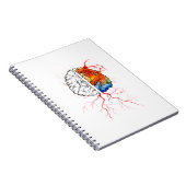 虹の人間の脳 ノートブック (右側)