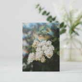 虹の光を纏う白いライラックの花、グリーティング ポストカード (スタンド正面)
