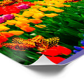 虹の向こうに ポスター (コーナー)