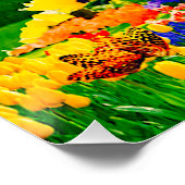 虹の向こうに ポスター (コーナー)