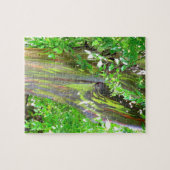 虹の木のパズル ジグソーパズル (横)