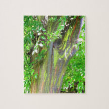 虹の木のパズル