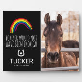 虹の橋 | ペットの馬の喪失 追悼記念品 フォトプラーク (正面)