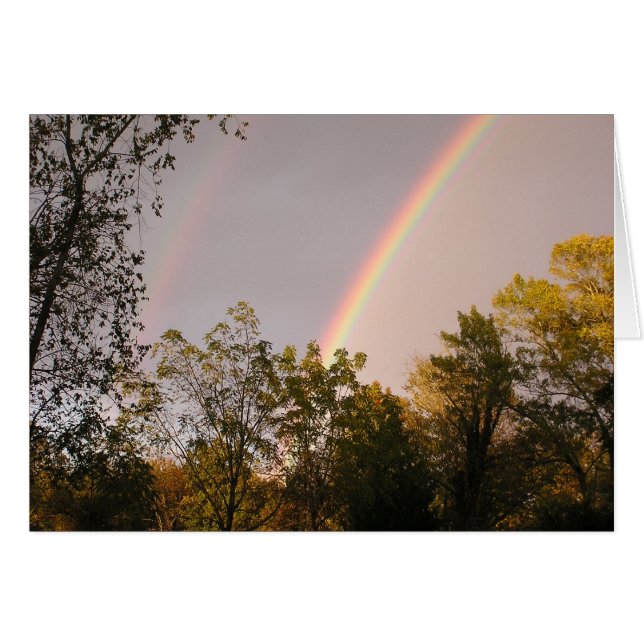 虹の歩行I (正面横)