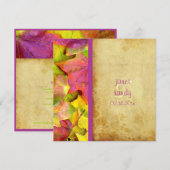 虹の滝のウェディング招待状 招待状 (正面/裏面)