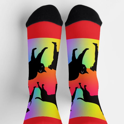 虹の犬と猫 ソックス (上部)