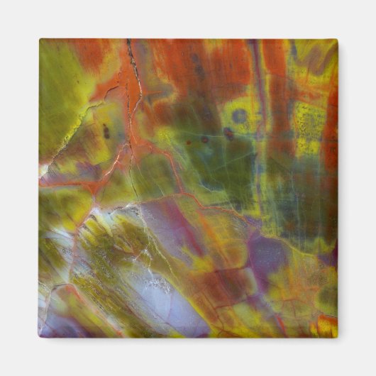 虹の石化された木材 マグネット (正面)