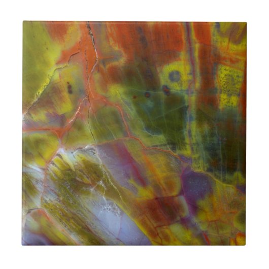 虹の石化木材 タイル (正面)