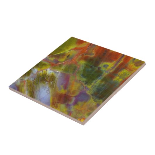 虹の石化木材 タイル (側面)