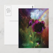 虹の絵はがきの女神 ポストカード (正面/裏面)