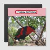 虹の羽：オーストラリアかわいらしのロリケート、 (正面/裏面)