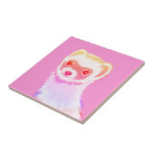 虹の色のサッシフェレット タイル (側面)