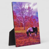 虹の色のフィールドにポニー フォトプラーク (側面)