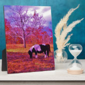 虹の色のフィールドにポニー フォトプラーク (側面)