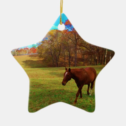 虹の色のフィールドに茶色の馬 セラミックオーナメント (正面)